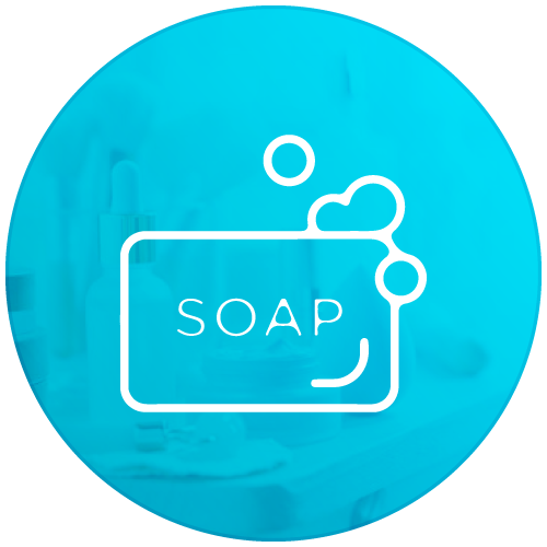 Body Soaps