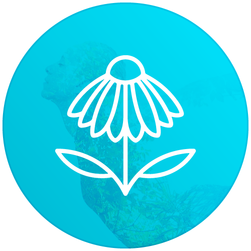 Echinacea