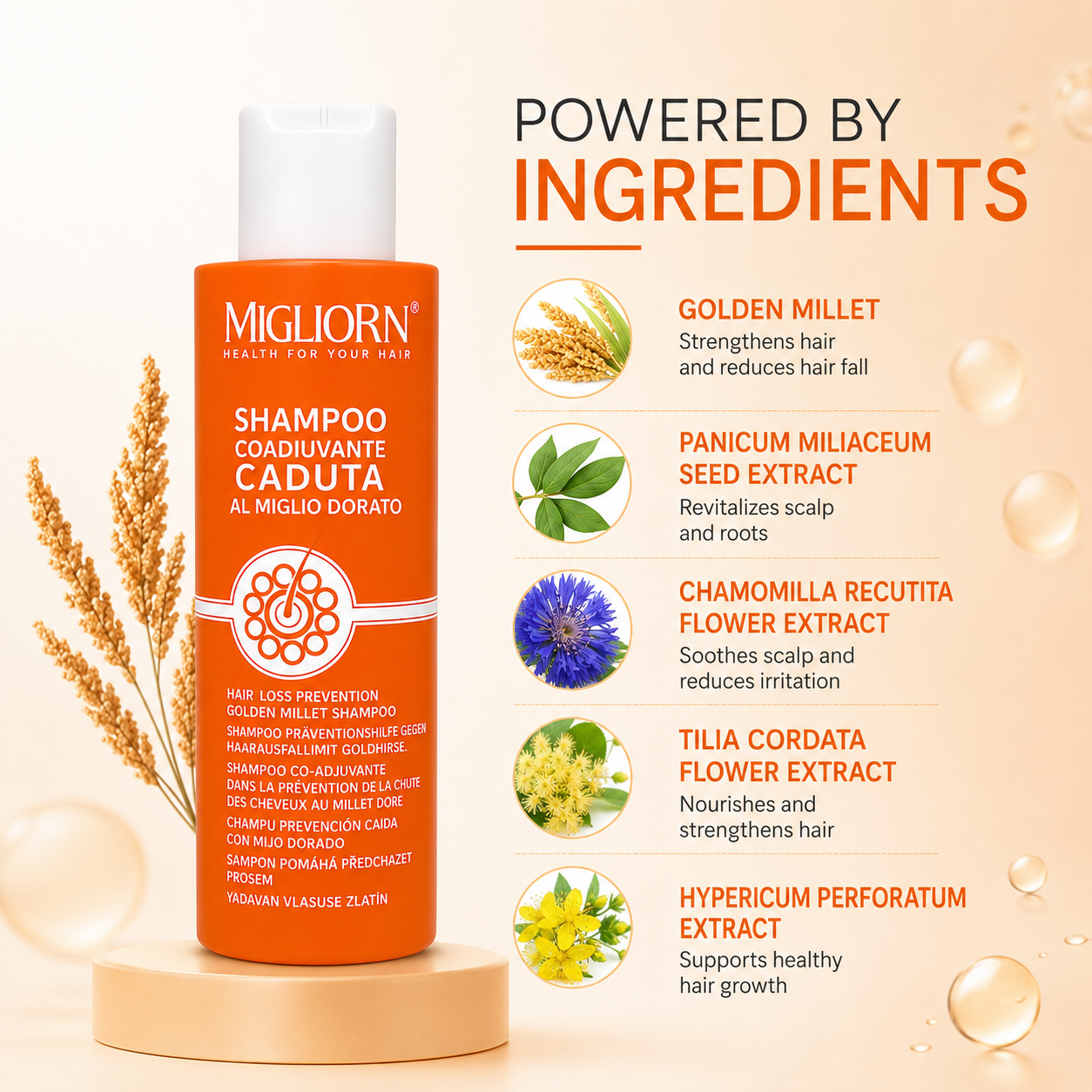 Migliorin Hair Loss Prevention Golden Millet Shampoo 1 + 1 Offer 200ml x2 for reducing hair fall and strengthening weak hair, front view bottle.