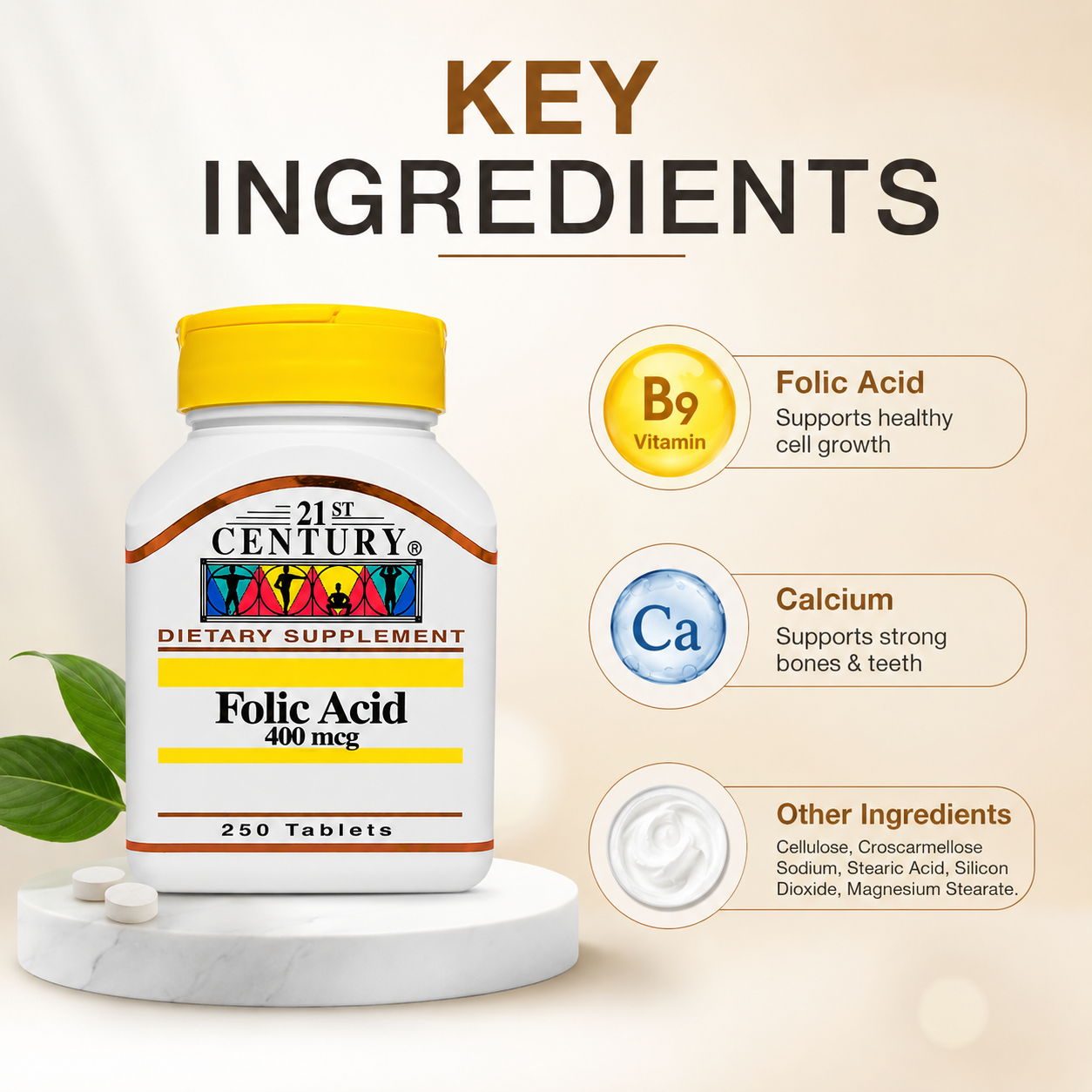 21st Century Folic Acid 400 mcg 250 Tablets dietary supplement supporting healthy cell growth and daily folate intake.