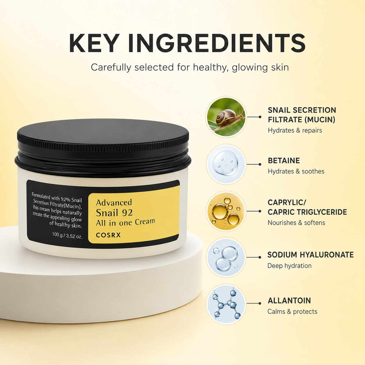 COSRX Advanced Snail 92 All In One Cream face moisturizer 100g providing deep hydration and skin barrier support for dry skin.