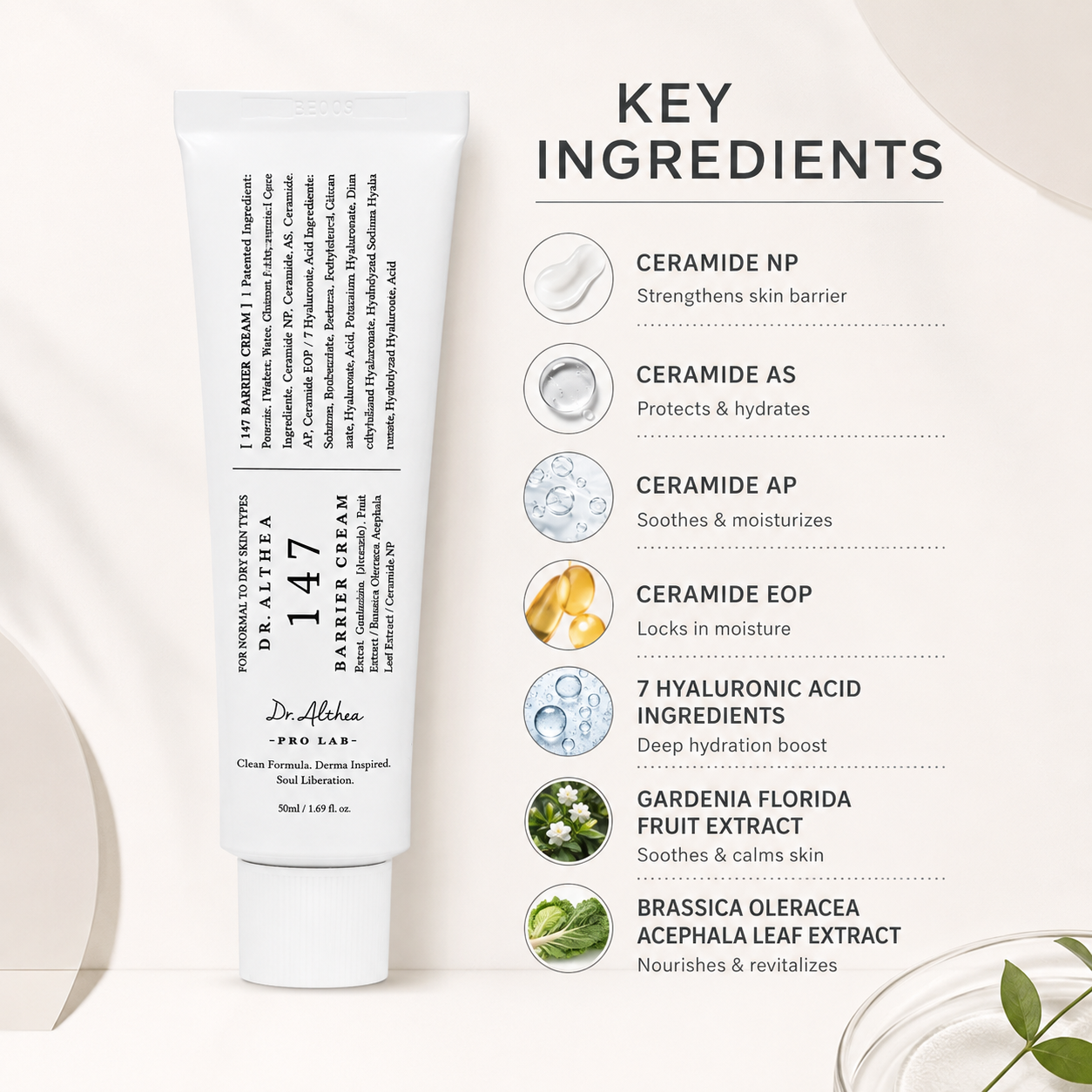 Dr. Althea 147 Barrier Cream 50ml face moisturizer for dry skin and skin barrier care