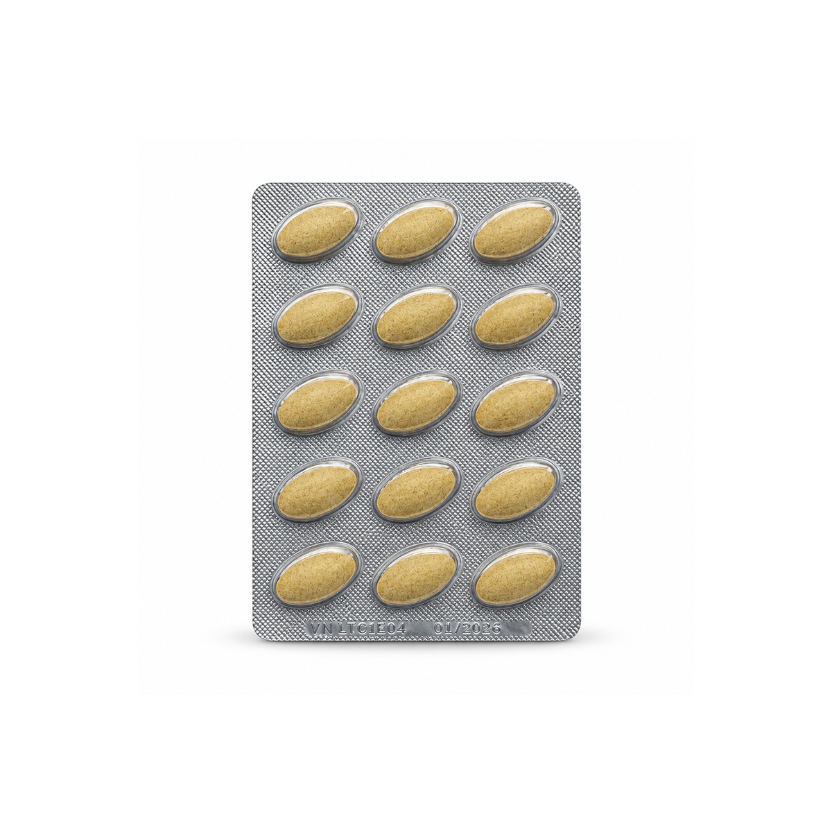 ESI GinkgoMax food supplement, 30 coated tablets with 240mg Ginkgo Biloba extract for memory and cognitive function support