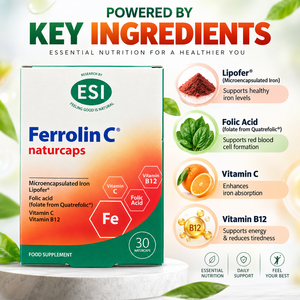 ESI Ferrolin C Naturcaps food supplement with iron, folic acid, vitamin C and B12, 30 capsules for daily nutritional support