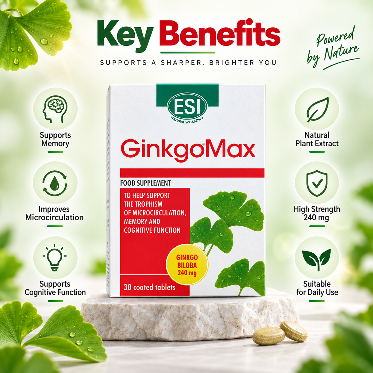ESI GinkgoMax food supplement, 30 coated tablets with 240mg Ginkgo Biloba extract for memory and cognitive function support