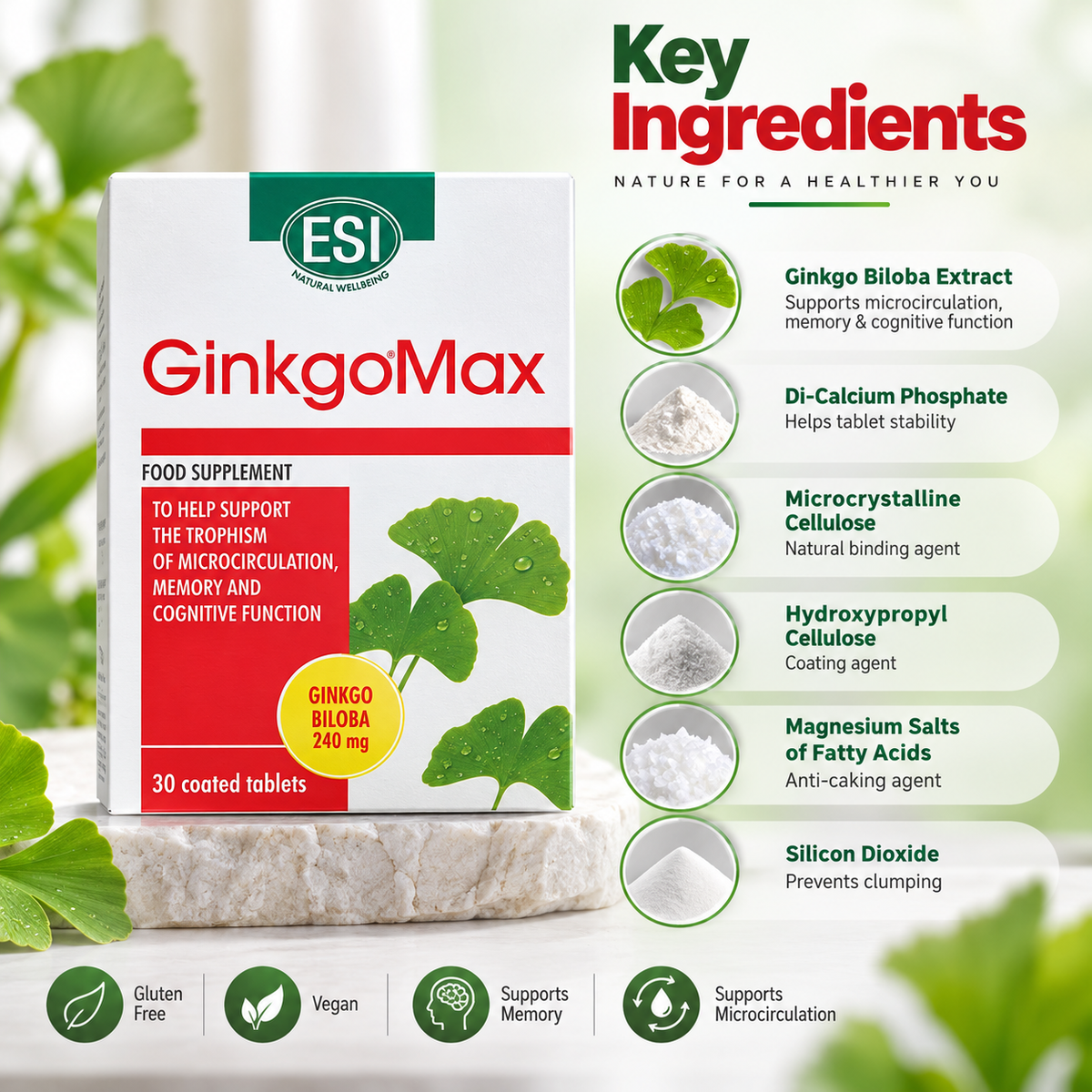 ESI GinkgoMax food supplement, 30 coated tablets with 240mg Ginkgo Biloba extract for memory and cognitive function support