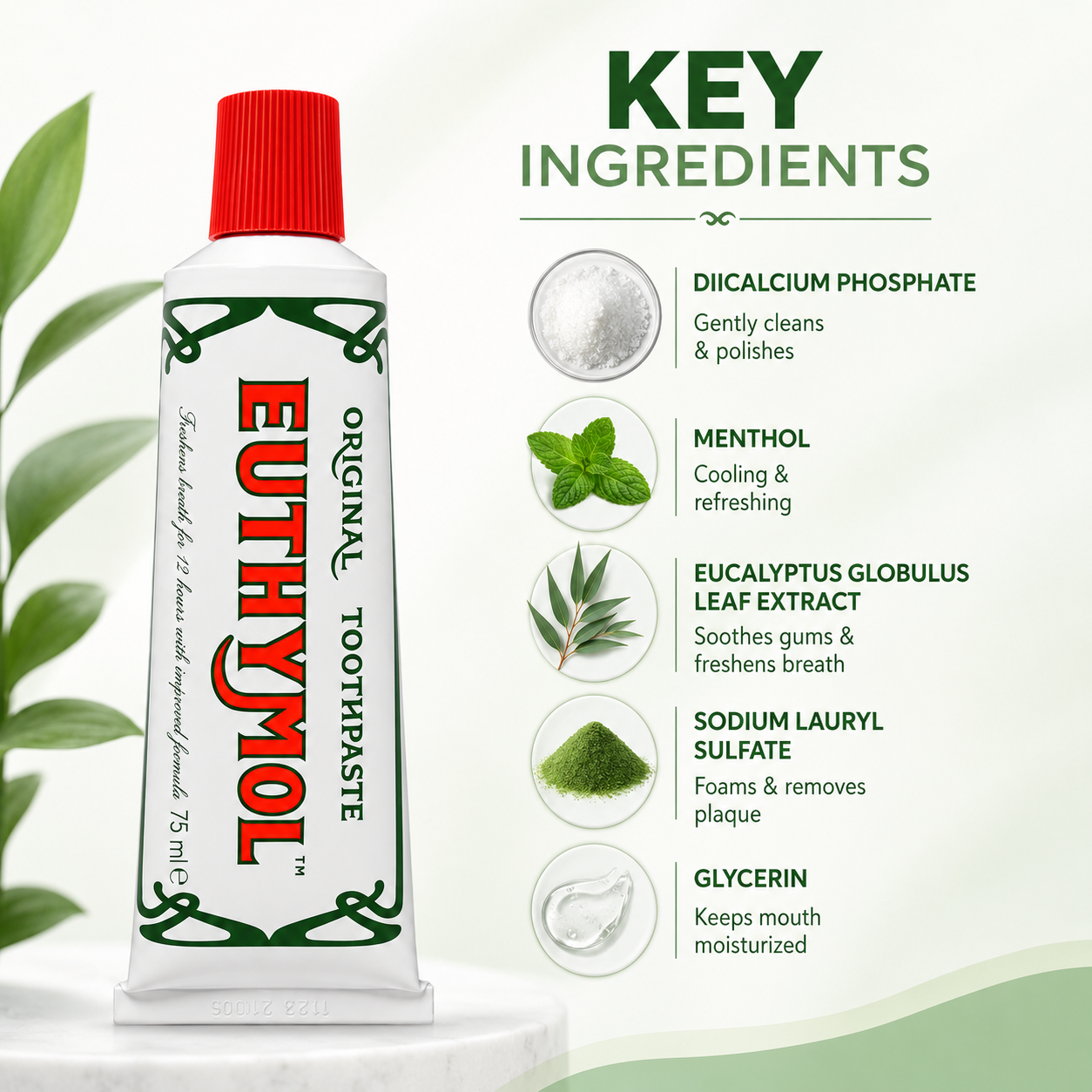 Euthymol Original Toothpaste 75ml fluoride-free toothpaste for long-lasting fresh breath and daily plaque removal care