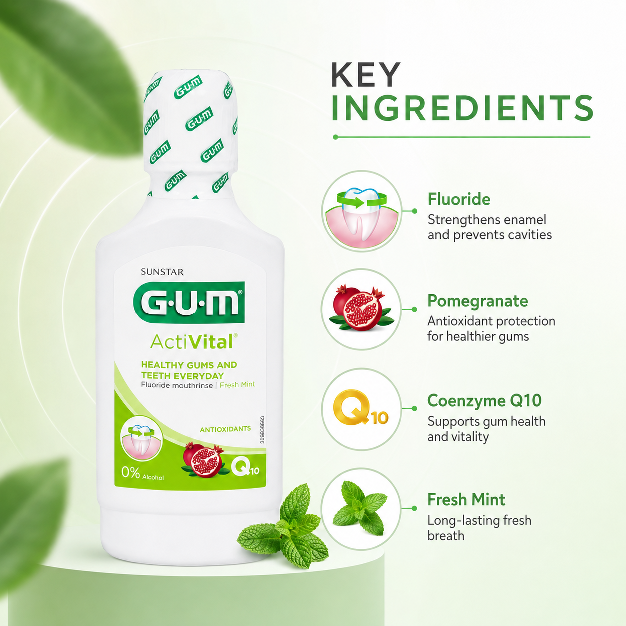 GUM ActiVital Fluoride Mouthrinse Fresh Mint 300ml for daily gum care, plaque control and enamel protection