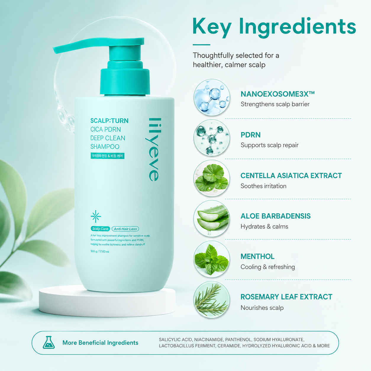 Lilyeve Scalp:Turn Cica PDRN Deep Clean Anti Hair Loss Shampoo 500g for sensitive scalp and scalp buildup care