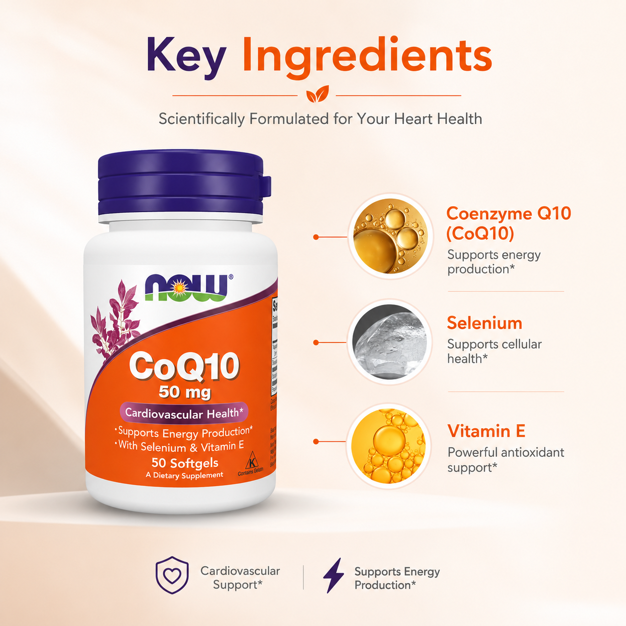 NOW CoQ10 50 mg Cardiovascular Health Dietary Supplement Softgels 50 Softgels with Selenium & Vitamin E for daily heart health support