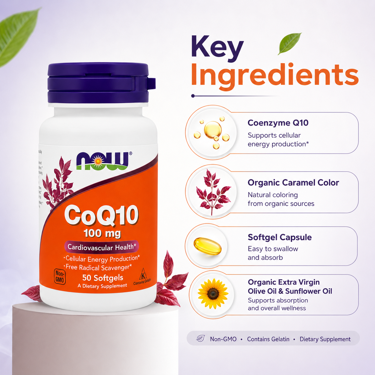 NOW CoQ10 100 mg Cardiovascular Health 50 Softgels dietary supplement bottle supporting heart health and cellular energy production.