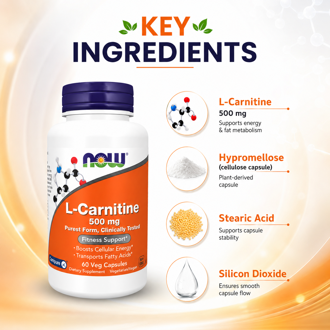 NOW L-Carnitine 500 mg 60 Veg Capsules dietary supplement supporting cellular energy and fatty acid metabolism with Carnipure® L-Carnitine.