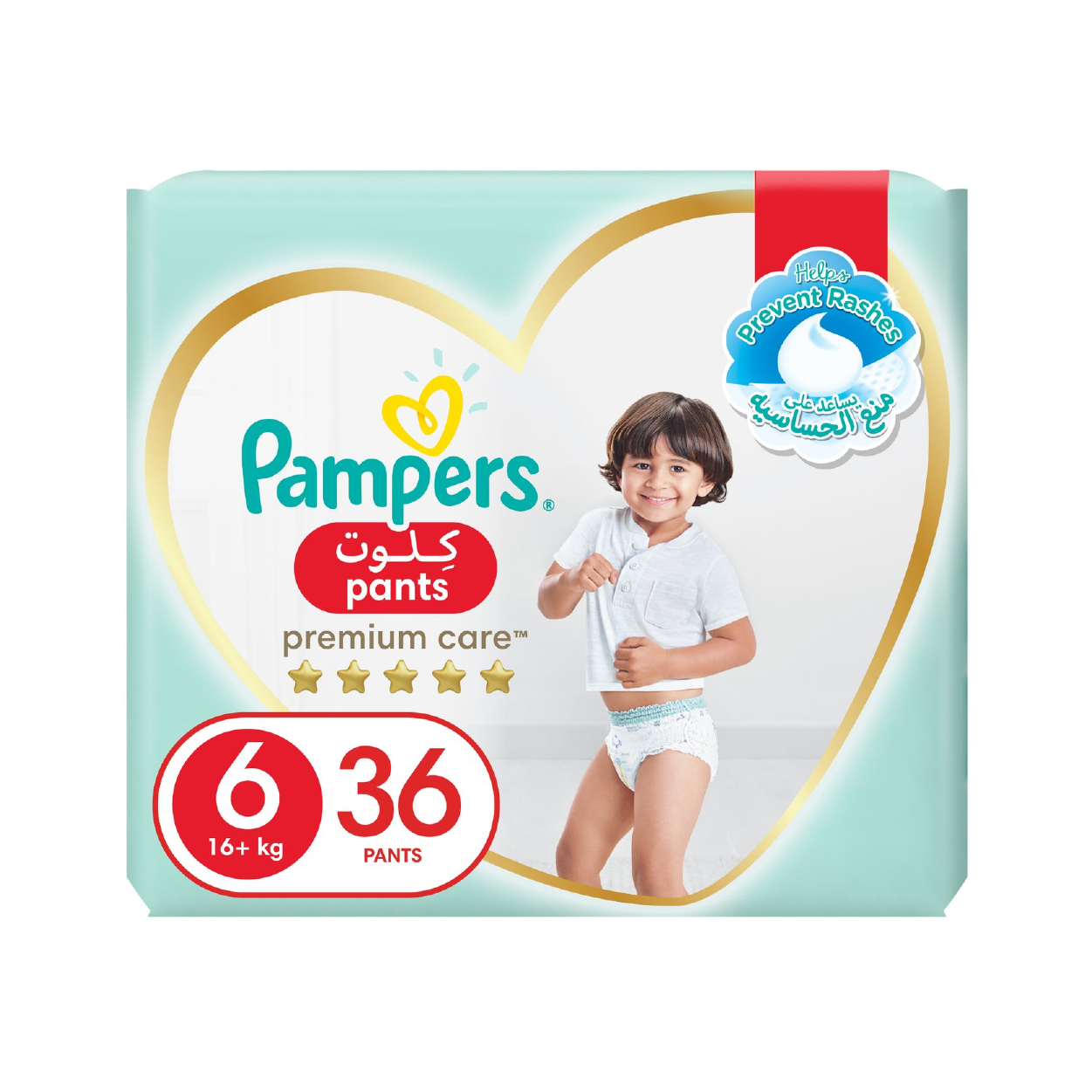 Pampers Premcare Pants 6*36