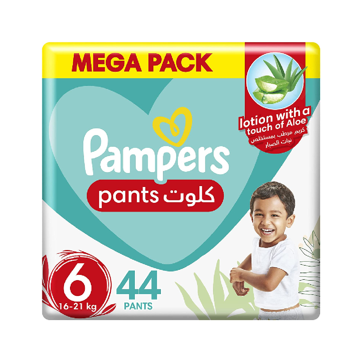 Pampers Pants 6*44