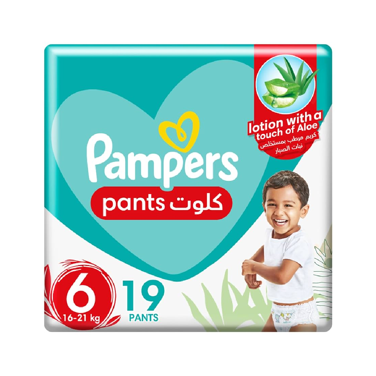Pampers Pants 6*19