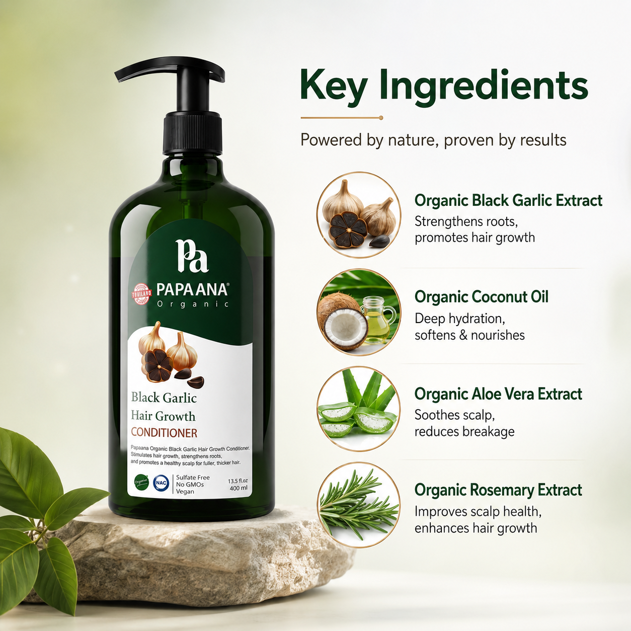 Papaana Organic Black Garlic Hair Growth Conditioner 400ml pump bottle, sulfate-free conditioner that supports stronger roots and healthier hair growth.