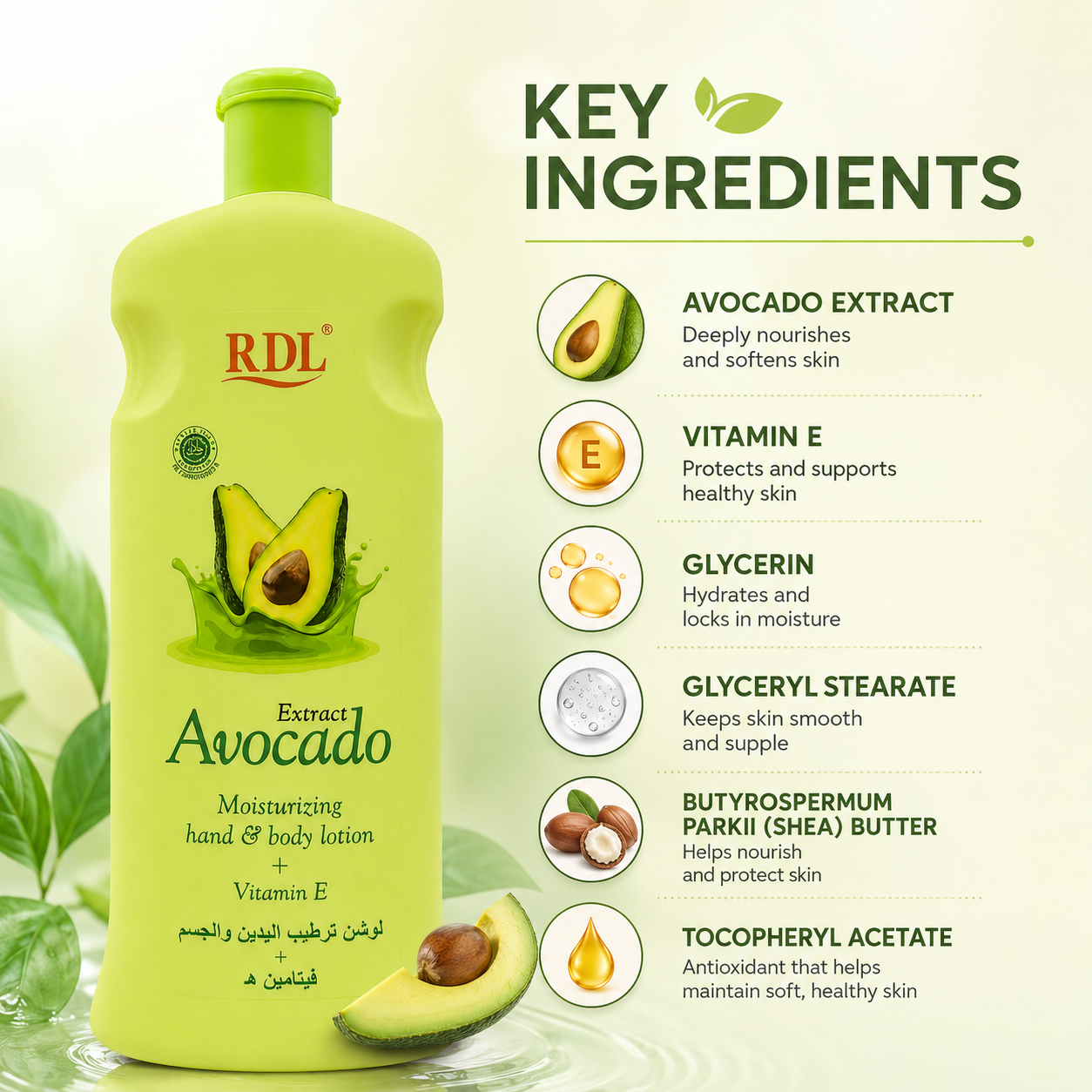 RDL Avocado Extract Moisturizing Hand & Body Lotion 600ml with Vitamin E for dry and flaky skin hydration