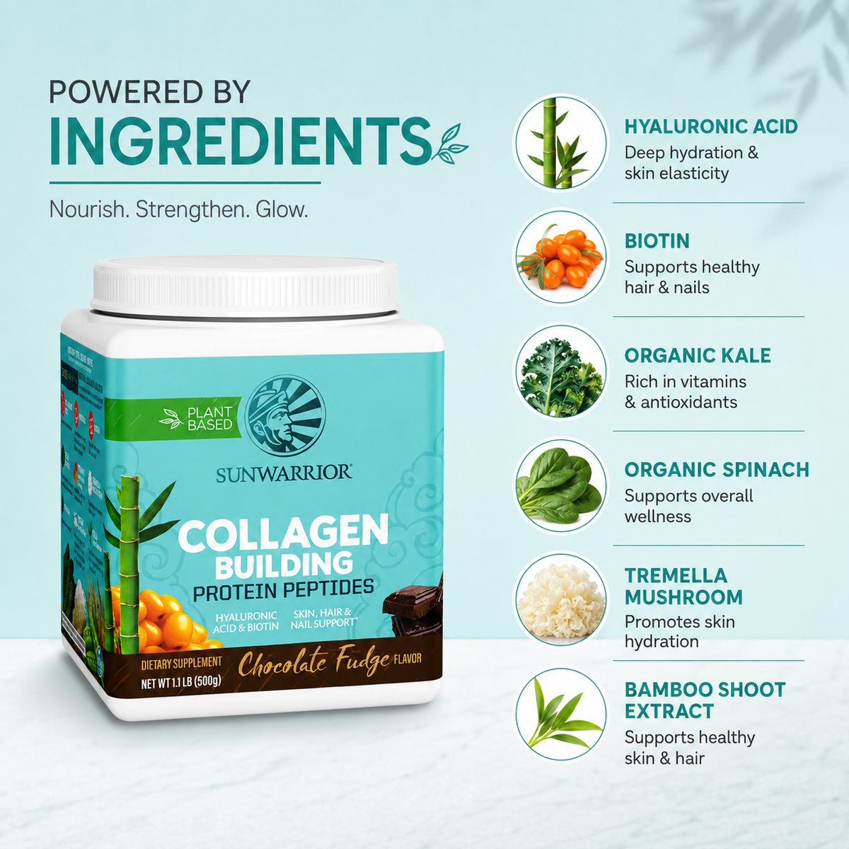 Sunwarrior Collagen Building Protein Peptides Chocolate Fudge 500g dietary supplement for skin, hair and nail support