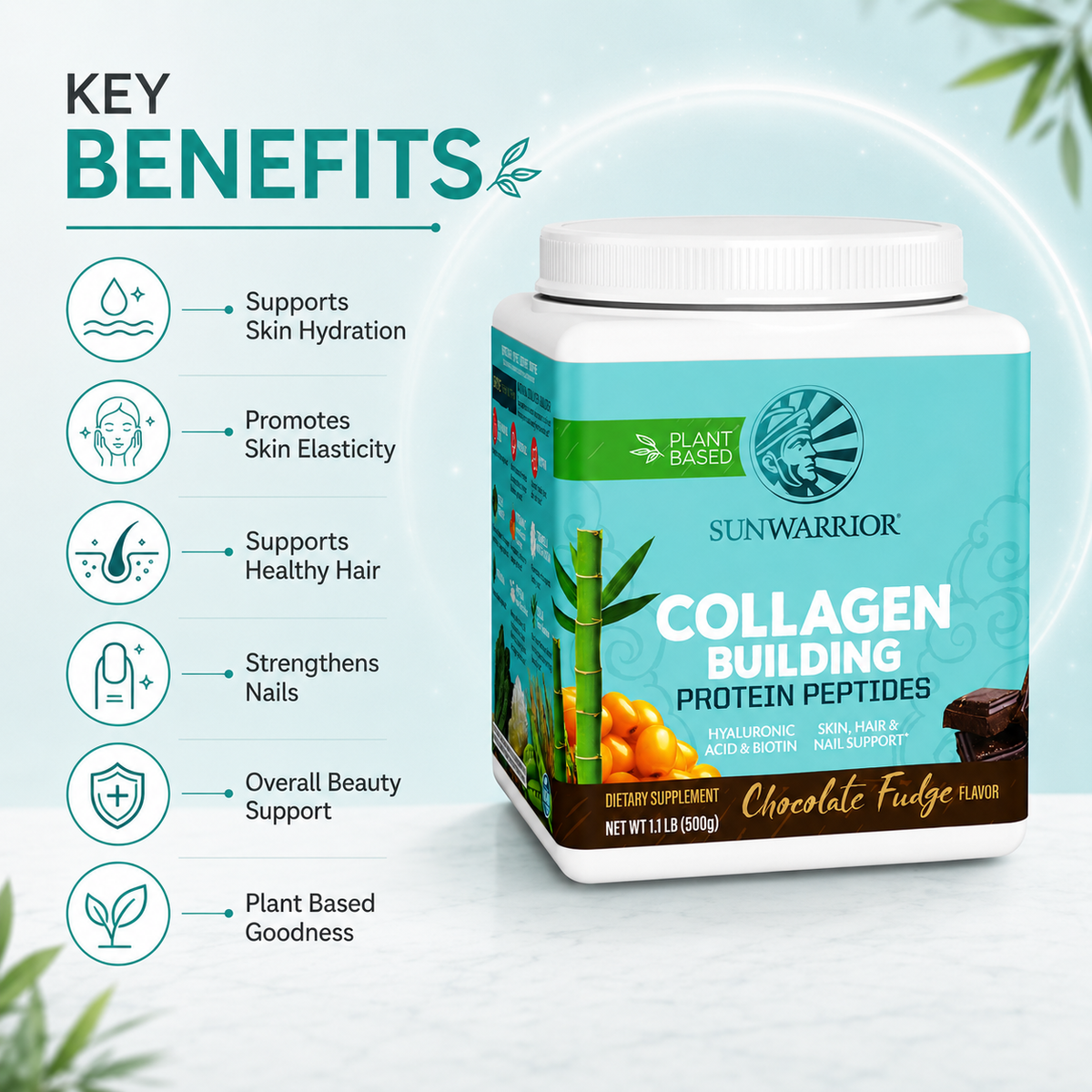 Sunwarrior Collagen Building Protein Peptides Chocolate Fudge 500g dietary supplement for skin, hair and nail support