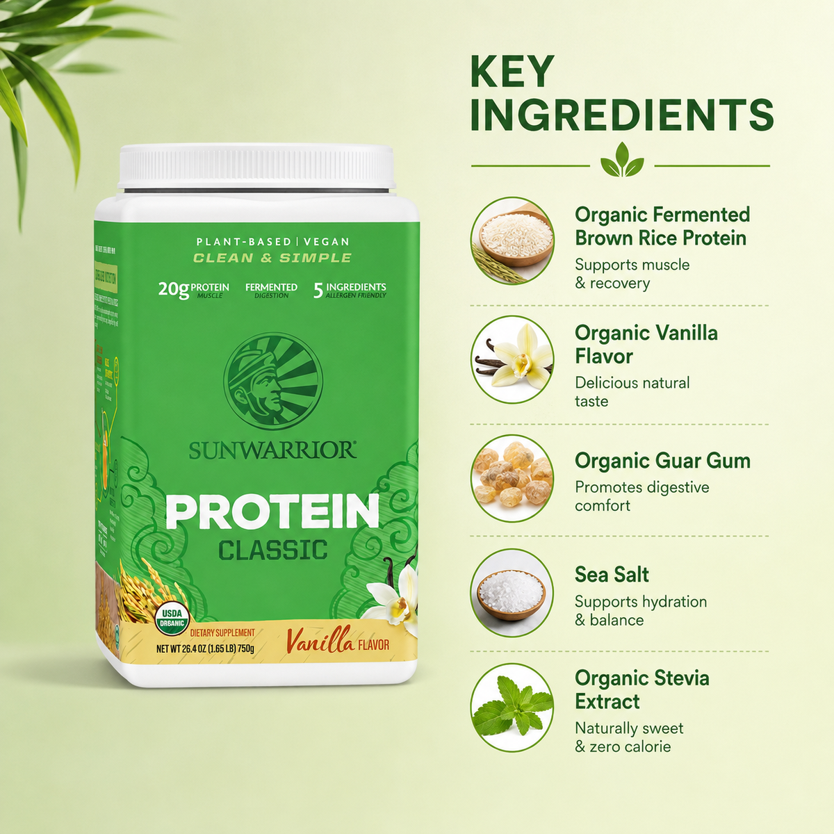 Sunwarrior Protein Classic Vanilla Flavor 750g plant-based protein powder for muscle support