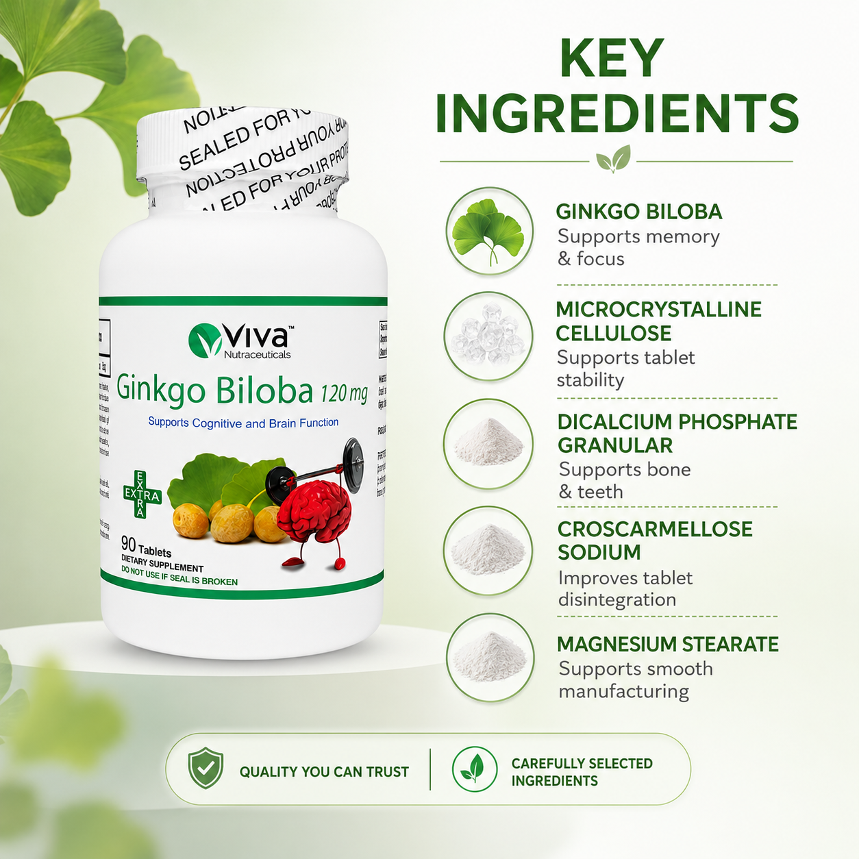 Viva Nutraceuticals Ginkgo Biloba 120mg brain support supplement tablets 90 count for memory, focus, and cognitive function support