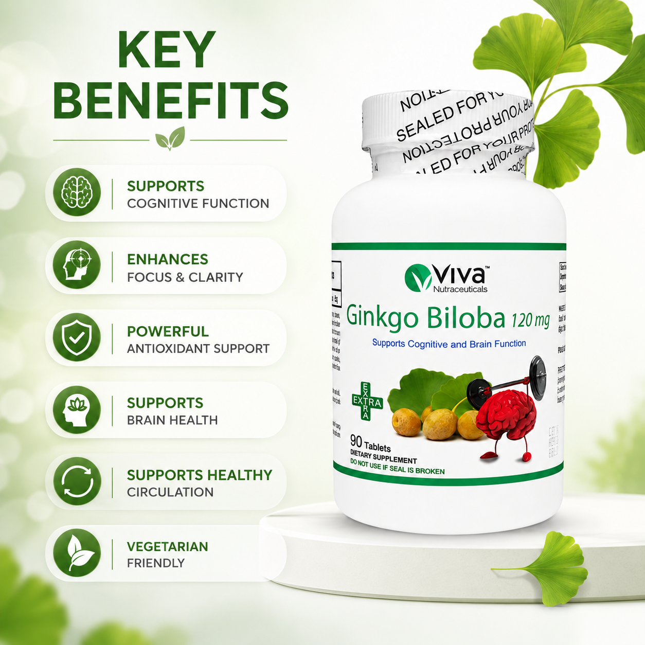 Viva Nutraceuticals Ginkgo Biloba 120mg brain support supplement tablets 90 count for memory, focus, and cognitive function support