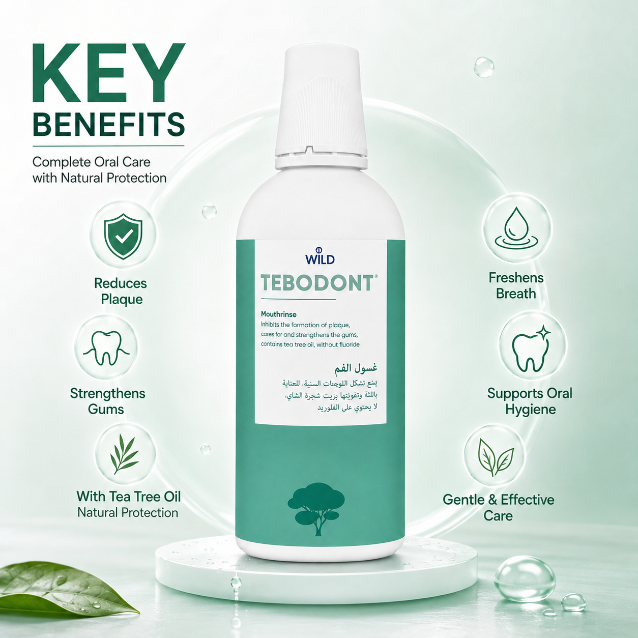 WILD TEBODONT Mouthrinse 500ml fluoride-free oral rinse for plaque control and gum care with tea tree oil