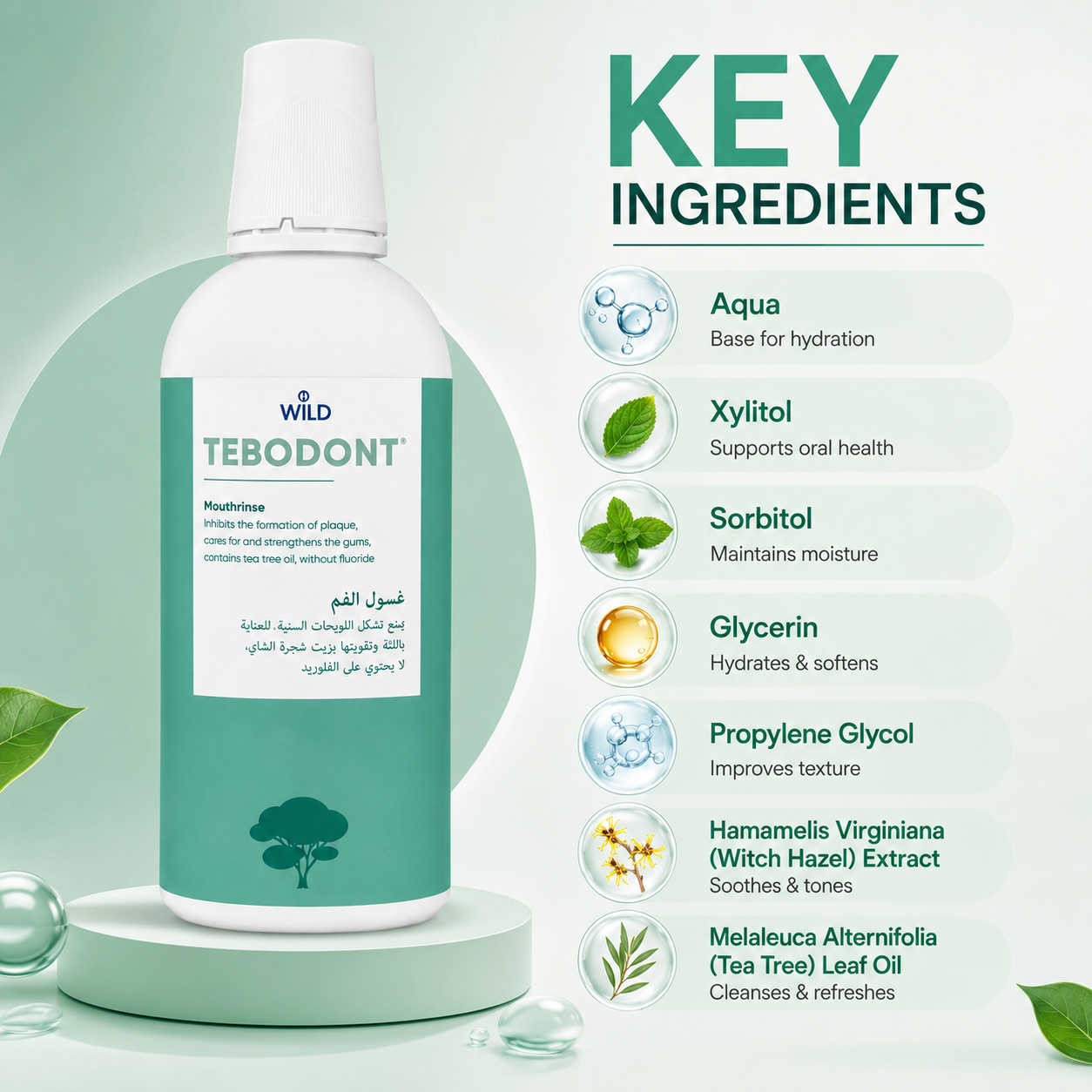WILD TEBODONT Mouthrinse 500ml fluoride-free oral rinse for plaque control and gum care with tea tree oil