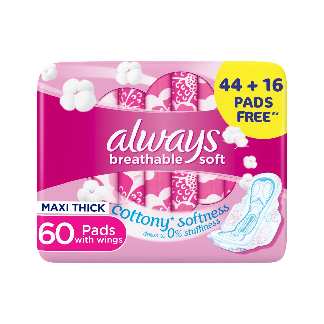 Always Mt L/Wings 60'S (Pink)